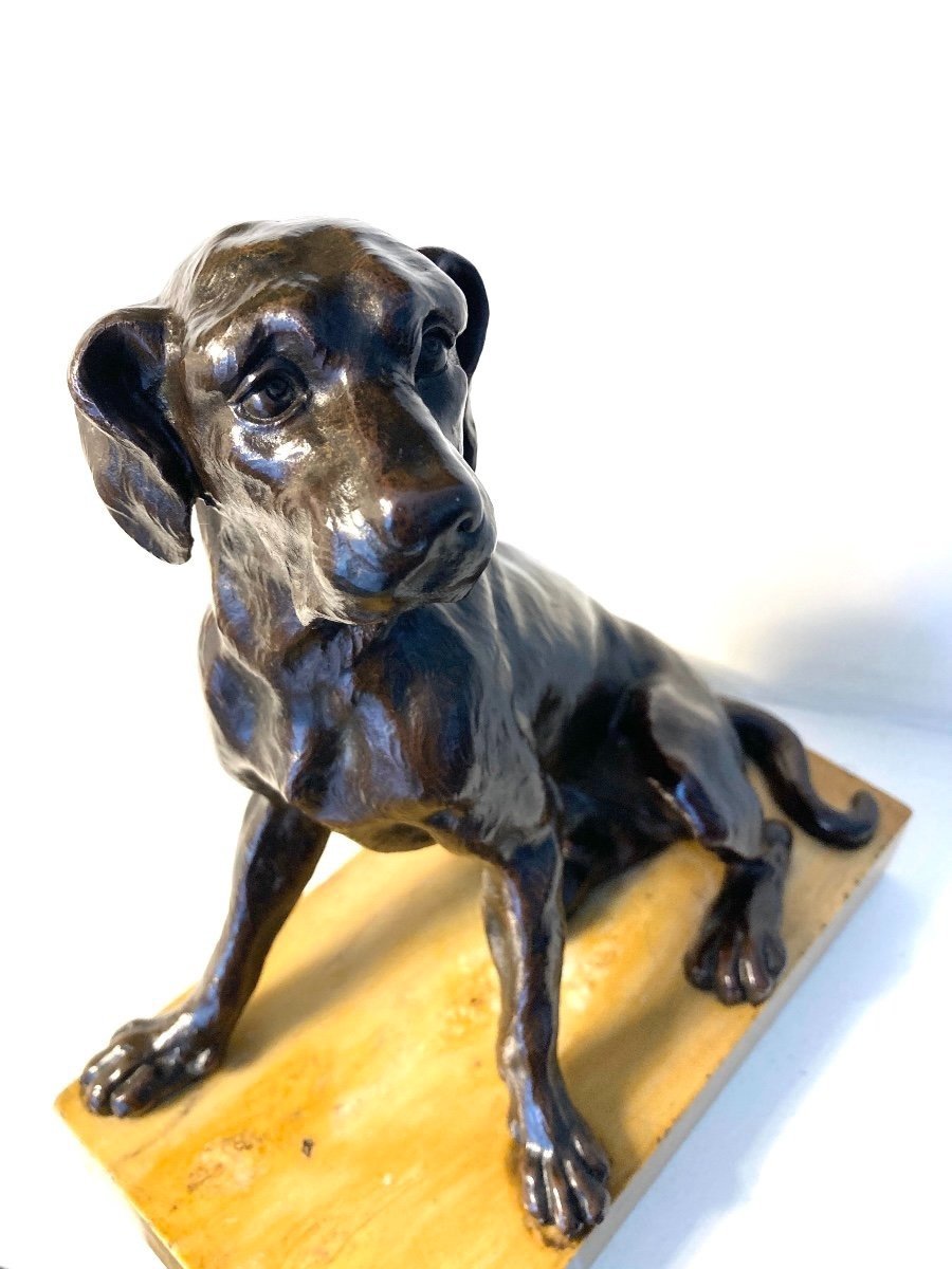 Bronze Sculpture Representing A Seated Dog, French School Of The 19th Century-photo-1