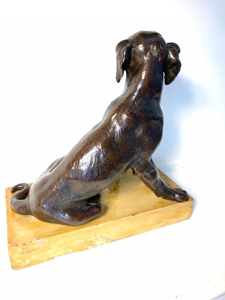 Bronze Sculpture Representing A Seated Dog, French School Of The 19th Century-photo-3