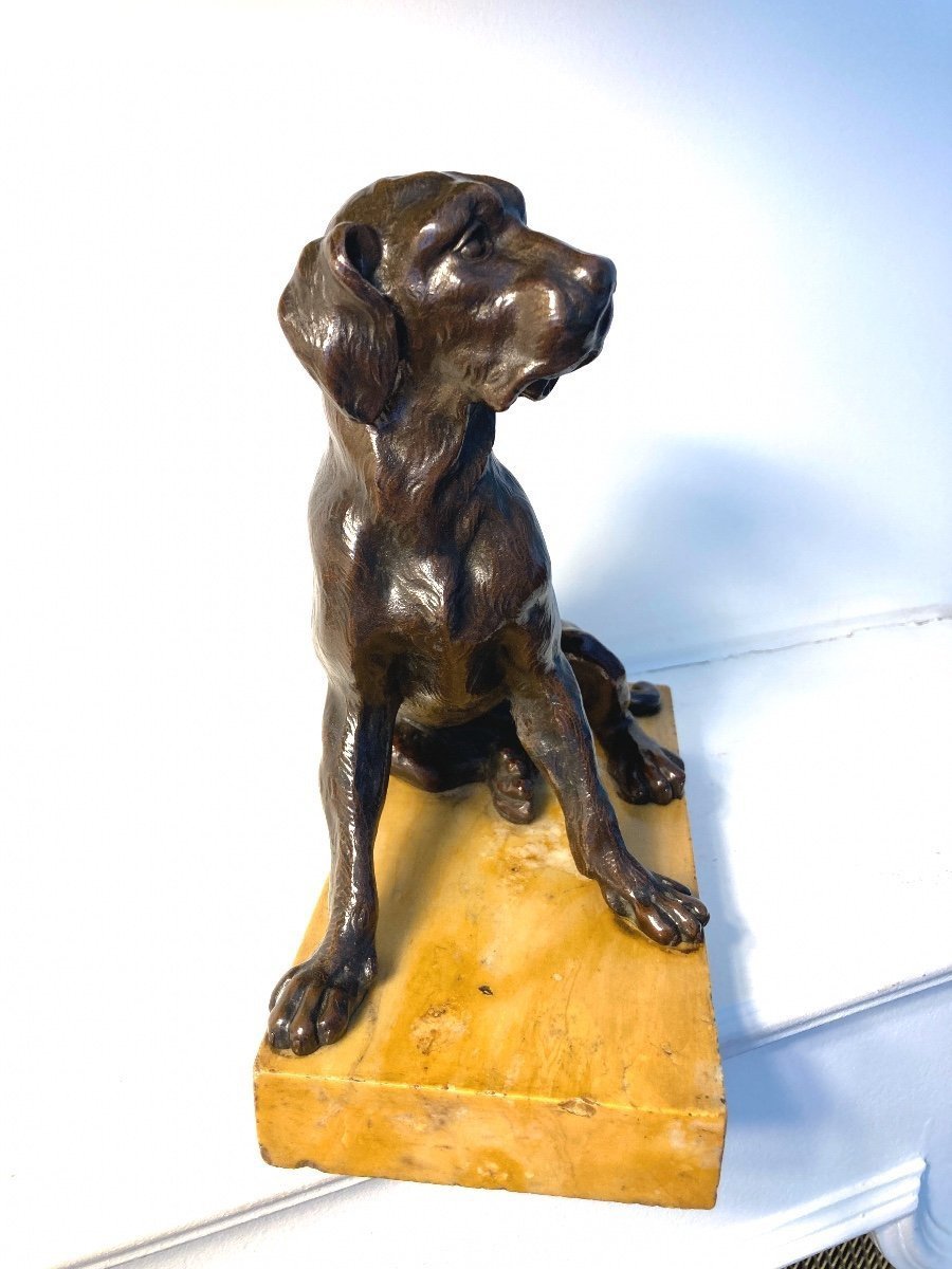 Bronze Sculpture Representing A Seated Dog, French School Of The 19th Century-photo-6