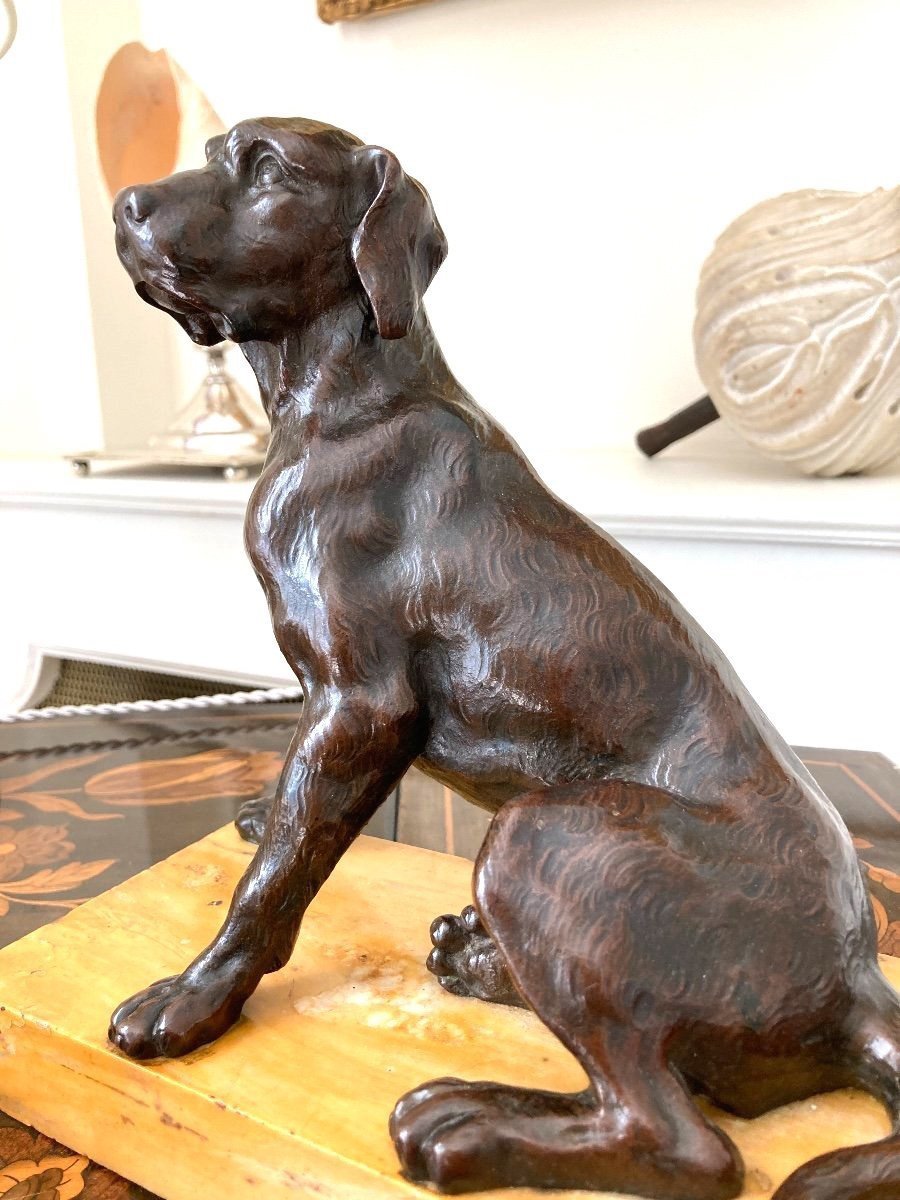 Bronze Sculpture Representing A Seated Dog, French School Of The 19th Century-photo-7