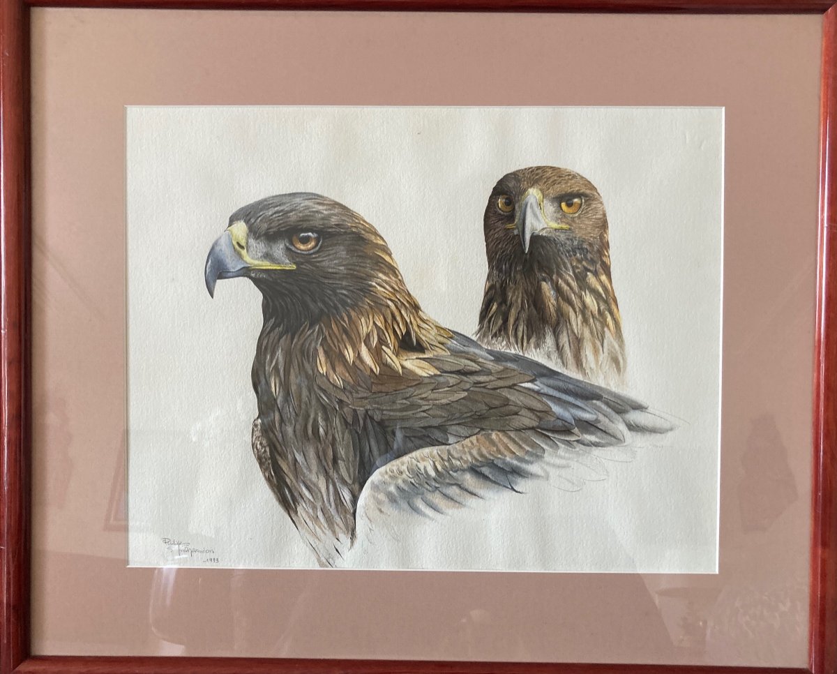 Aquarelle à Deux Têtes d'Aigles Royals Signées Philippe Varnardois