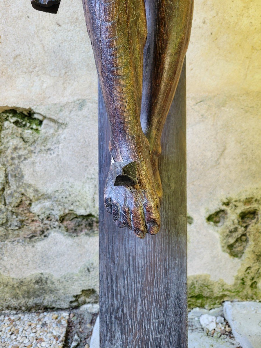 Large Christ In Carved Wood Inclined Head Surrounded By A Crown Of Thorns XVII Century-photo-8