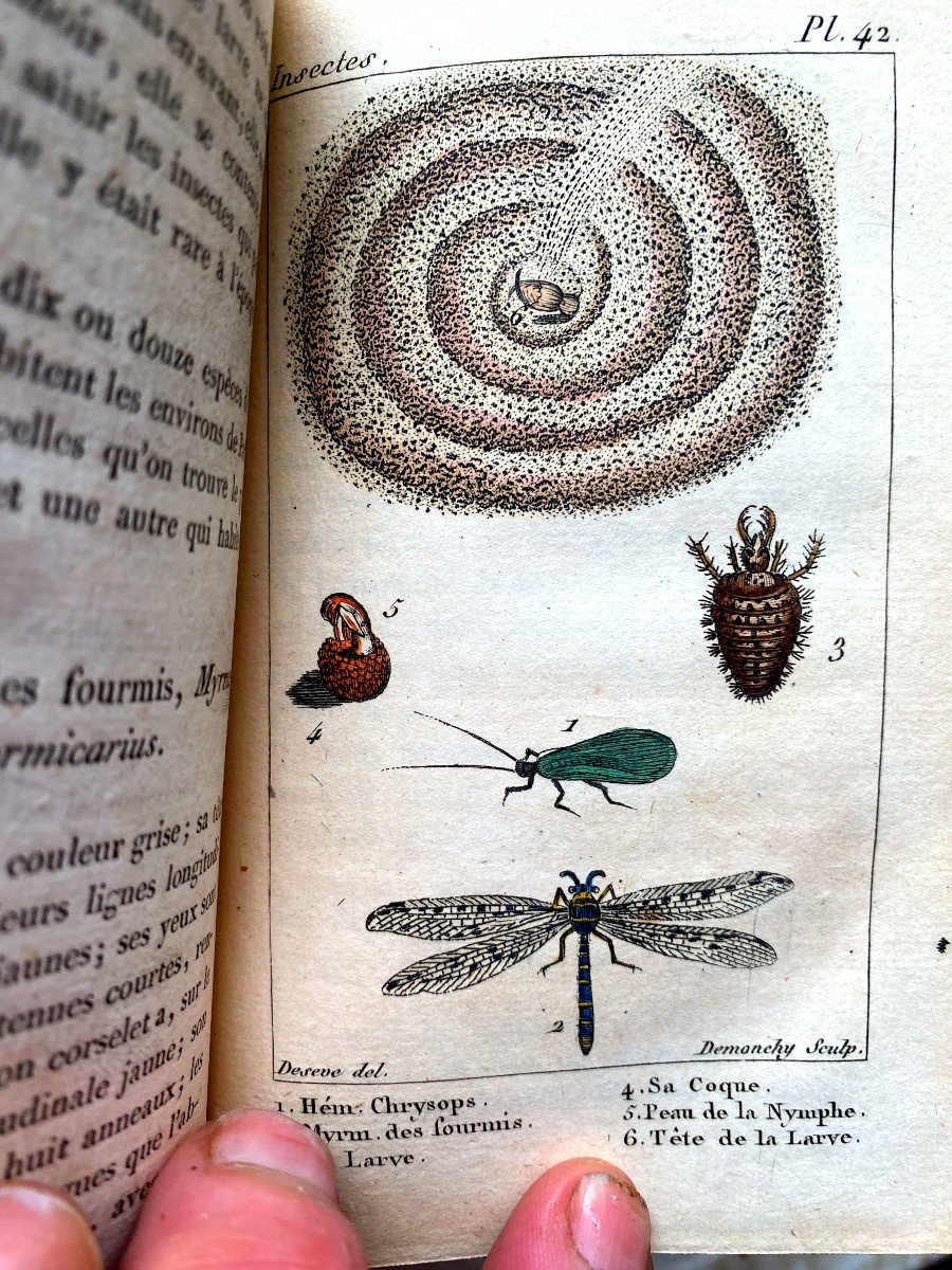 Natural History Of Insects Comp. After Réaumur, Geoffroy &c; By Mr. De Tigny Paris 1828-photo-2