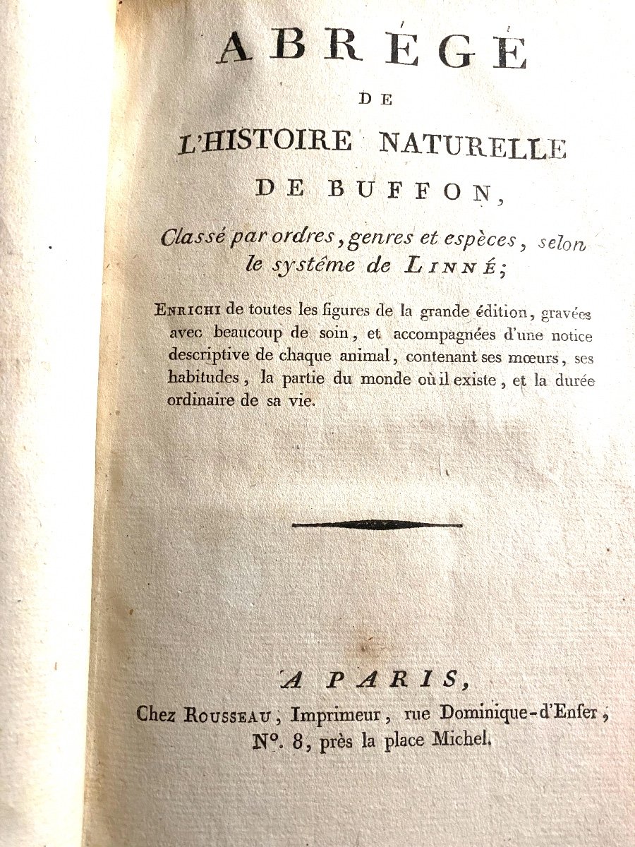 Beautiful, Abundantly Illustrated Abridgement Of Buffon's Natural History, Classified By Linnaeus, In Paris