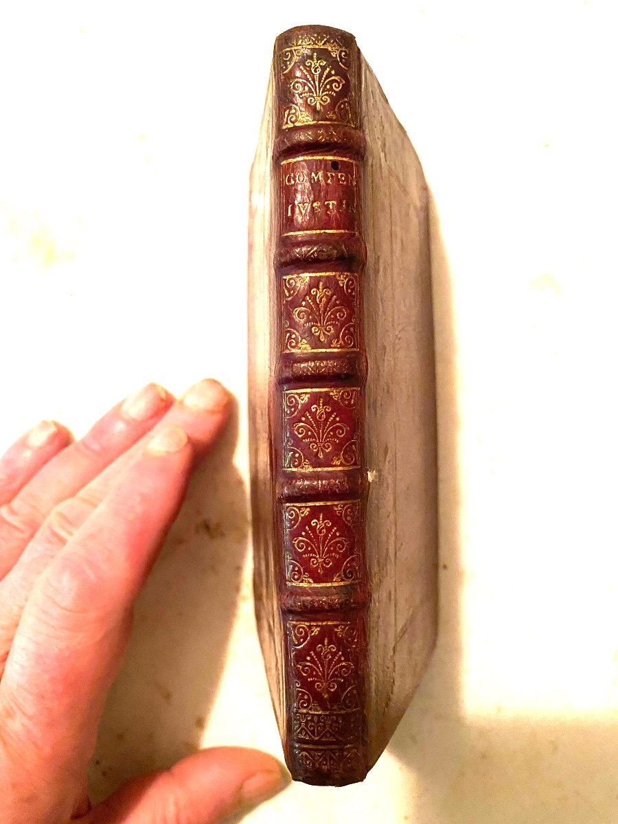 In Its Beautiful Binding In The Du Seuil Petit In 12 From 1696. Compendiosa Institutionum Justiniani-photo-2