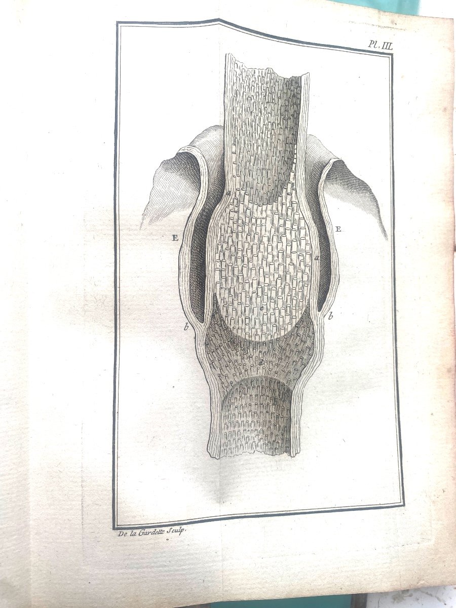 Rare Illustrated Agricultural Book Natural History Of Froment, M. Abbé Poncelet 1779 Paris-photo-2