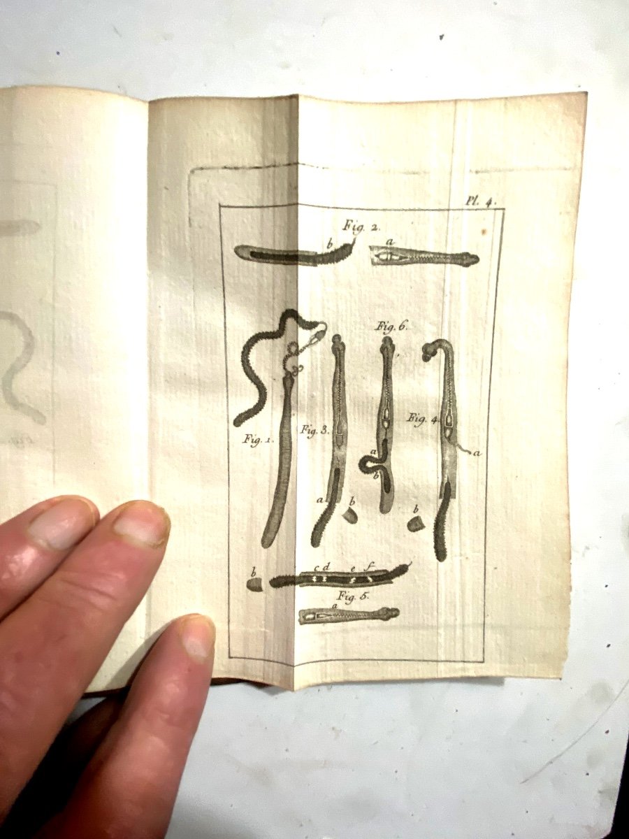 "nouvelles Observations Microscopiques " Par Needham , Avec 8 Figures ; A Paris 1750 . Un Vol.-photo-4