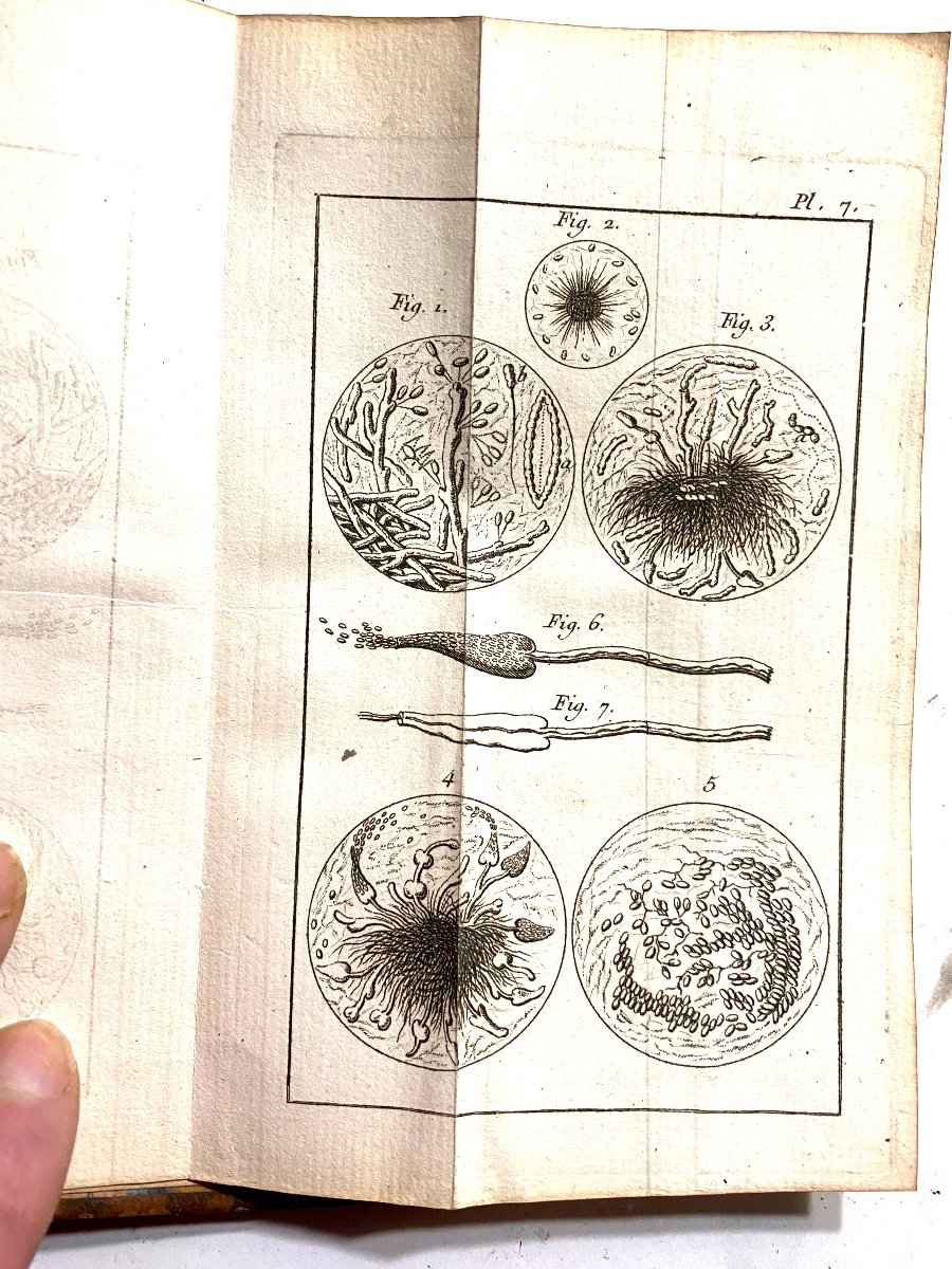 "nouvelles Observations Microscopiques " Par Needham , Avec 8 Figures ; A Paris 1750 . Un Vol.-photo-7