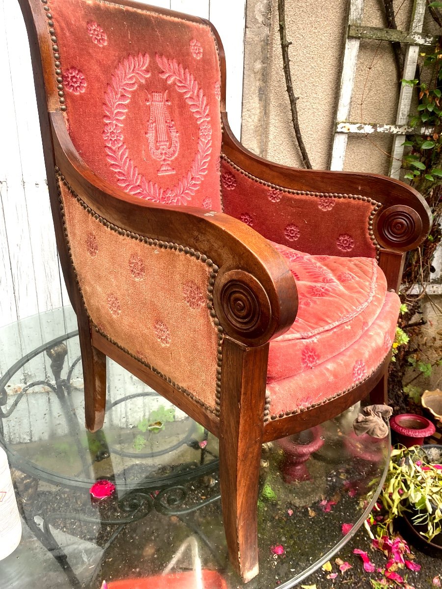 Beautiful Mahogany Bergère Armchair, Rich Windings, Period Saber Rose Crimson Velvet Feet -photo-2