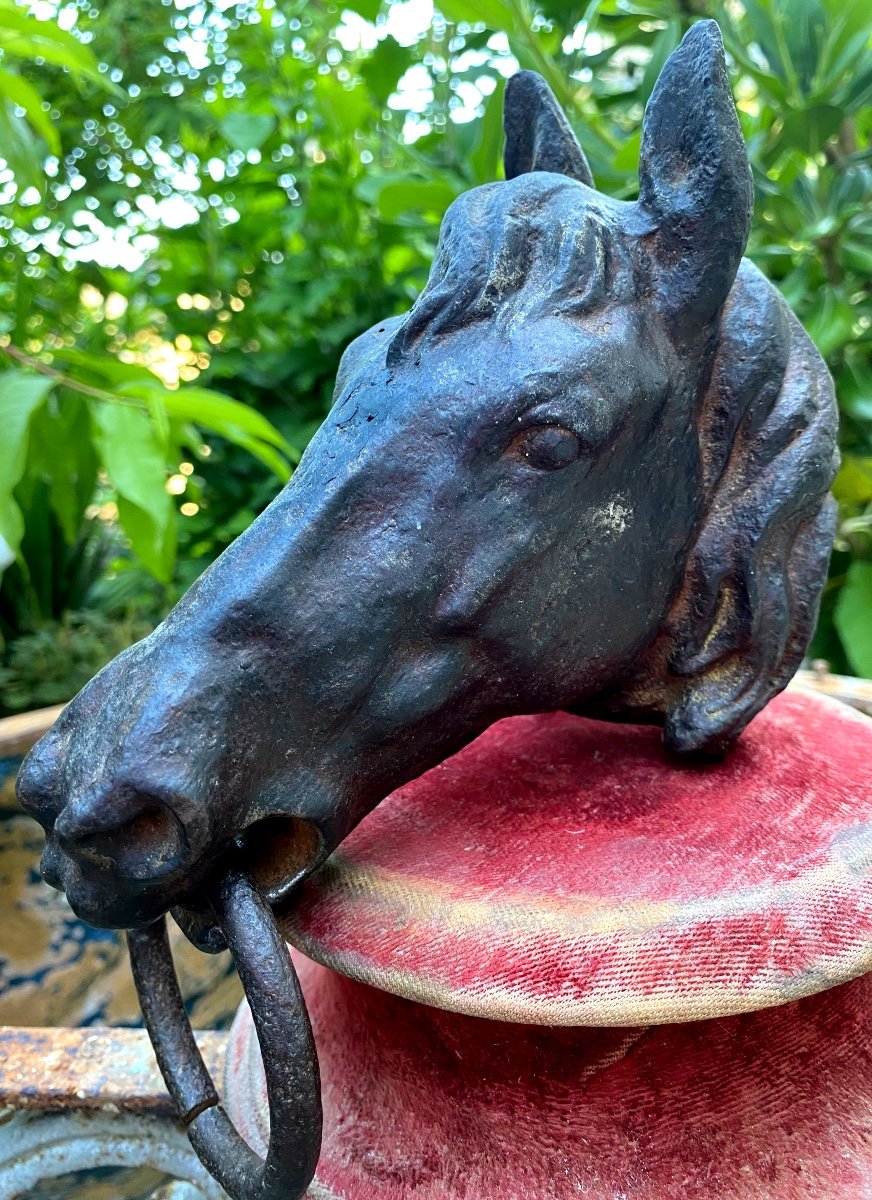 Horse Head In Patinated Cast Iron: 19th Century Stud Ring Of Beautiful Size And Expression-photo-3