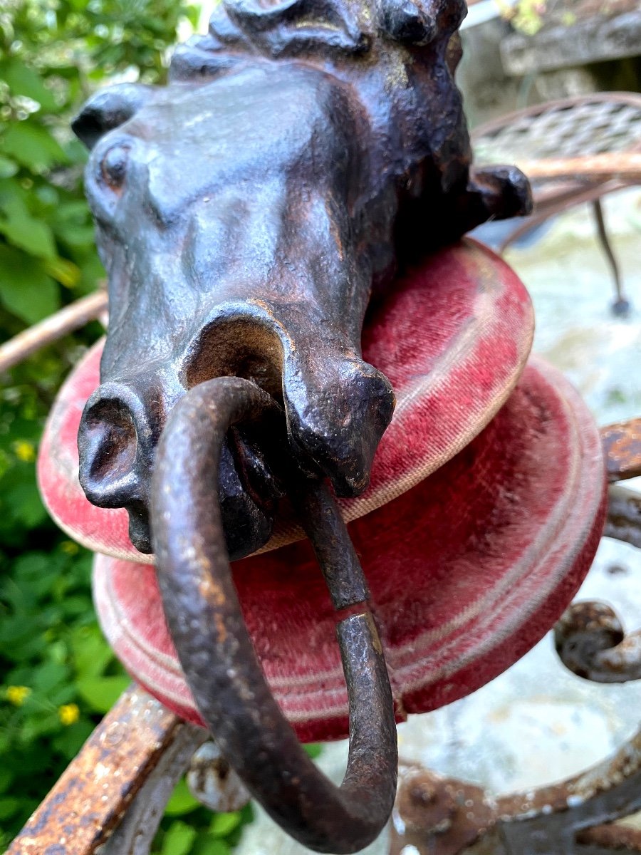 Horse Head In Patinated Cast Iron: 19th Century Stud Ring Of Beautiful Size And Expression-photo-3