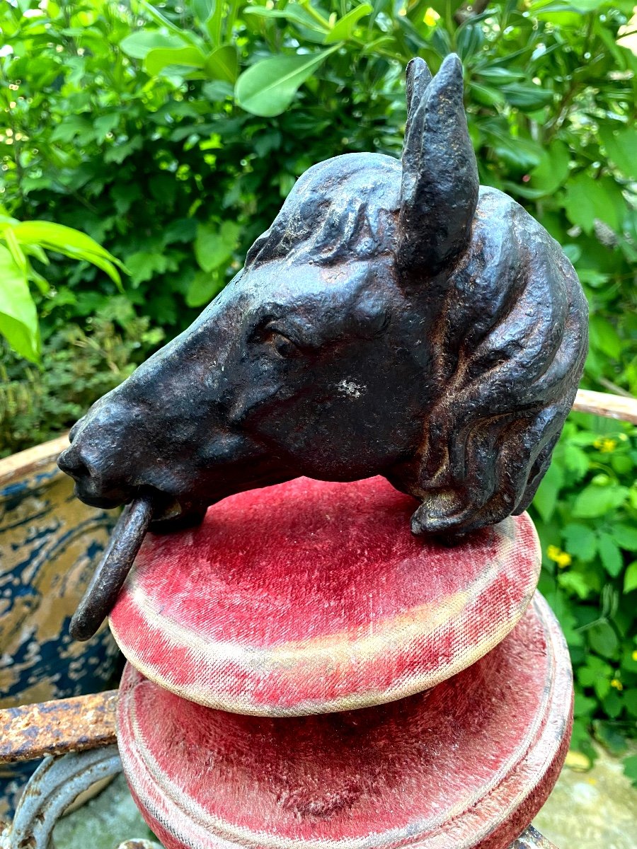 Horse Head In Patinated Cast Iron: 19th Century Stud Ring Of Beautiful Size And Expression-photo-5