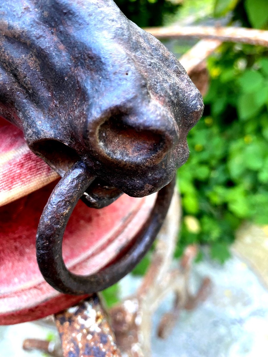 Horse Head In Patinated Cast Iron: 19th Century Stud Ring Of Beautiful Size And Expression-photo-7