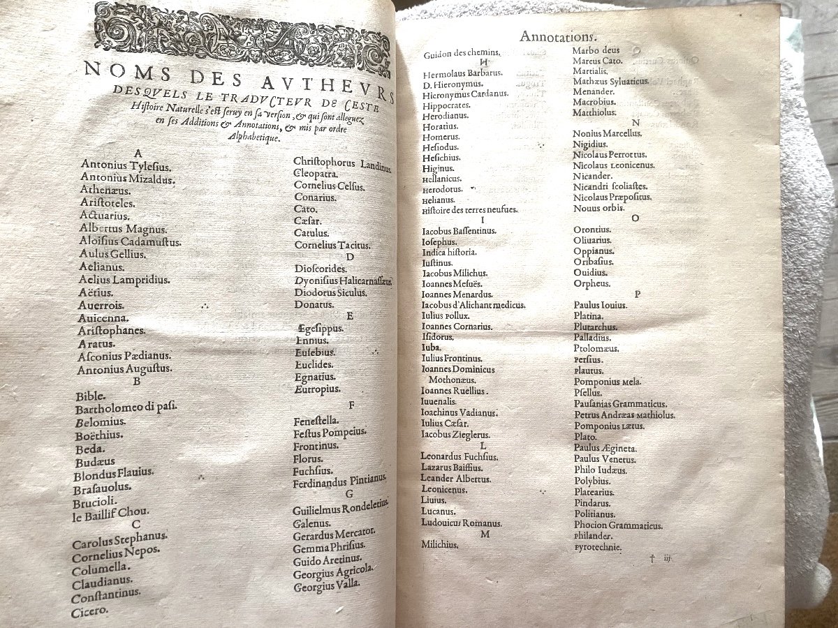 Exceptionnel In Folio En Veau Blond Glacé d'époque:"histoire Du Monde De C. Pline Second." 1615-photo-4