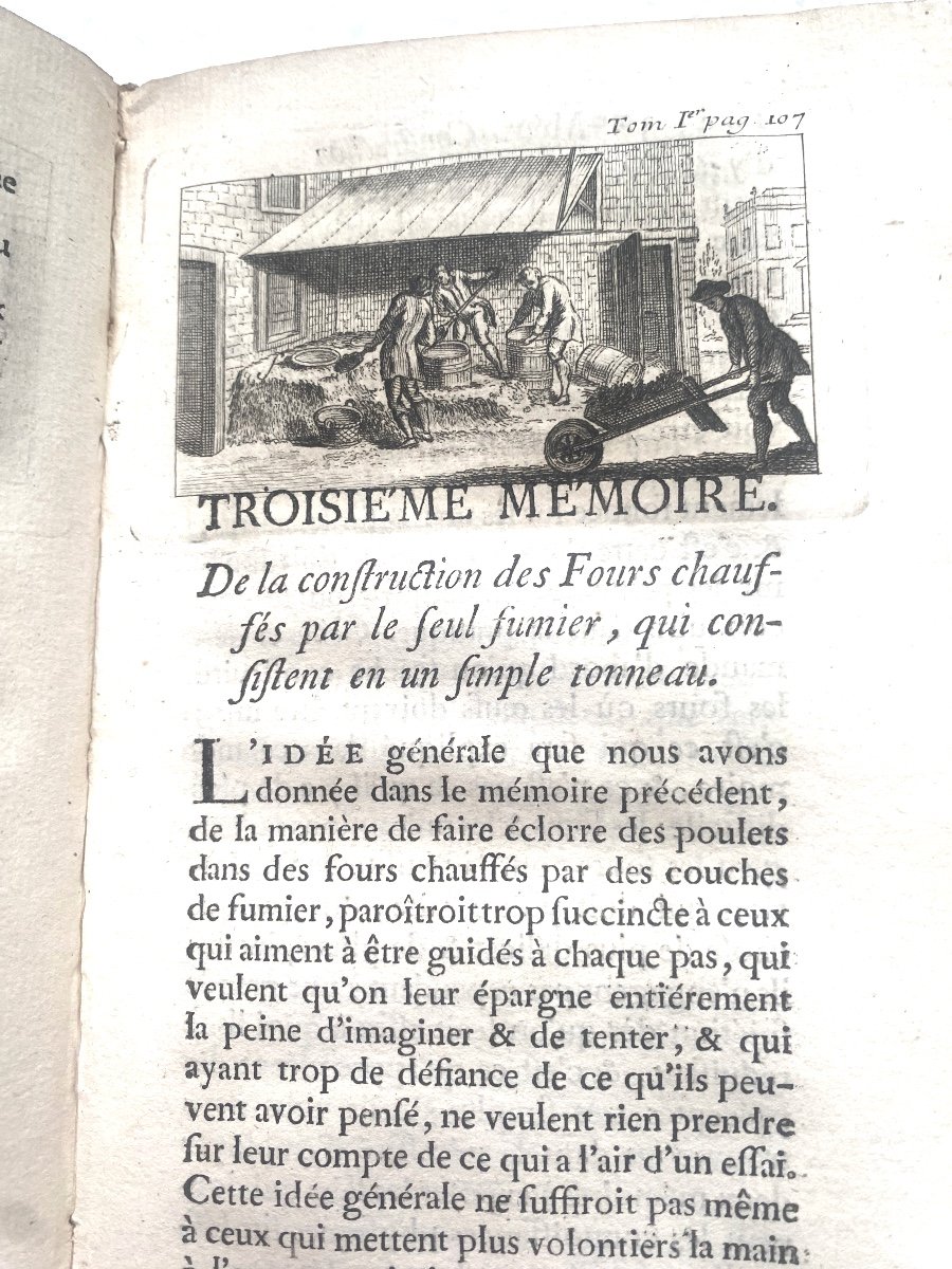 "art De Faire éclore Et d'élever En Toute Saison Des Oiseaux Domestiques".. I Vol. Maroquin 18è-photo-3