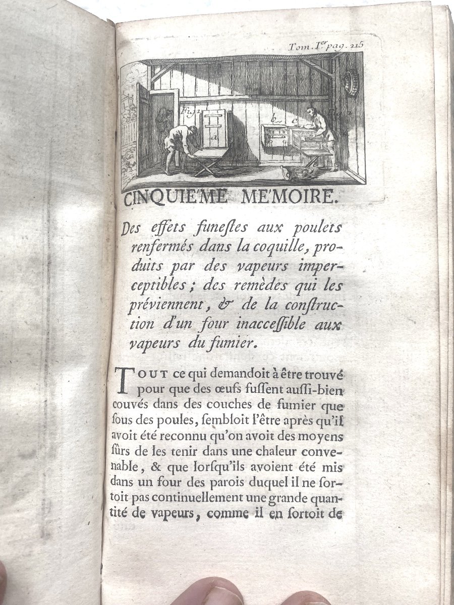 "art De Faire éclore Et d'élever En Toute Saison Des Oiseaux Domestiques".. I Vol. Maroquin 18è-photo-5