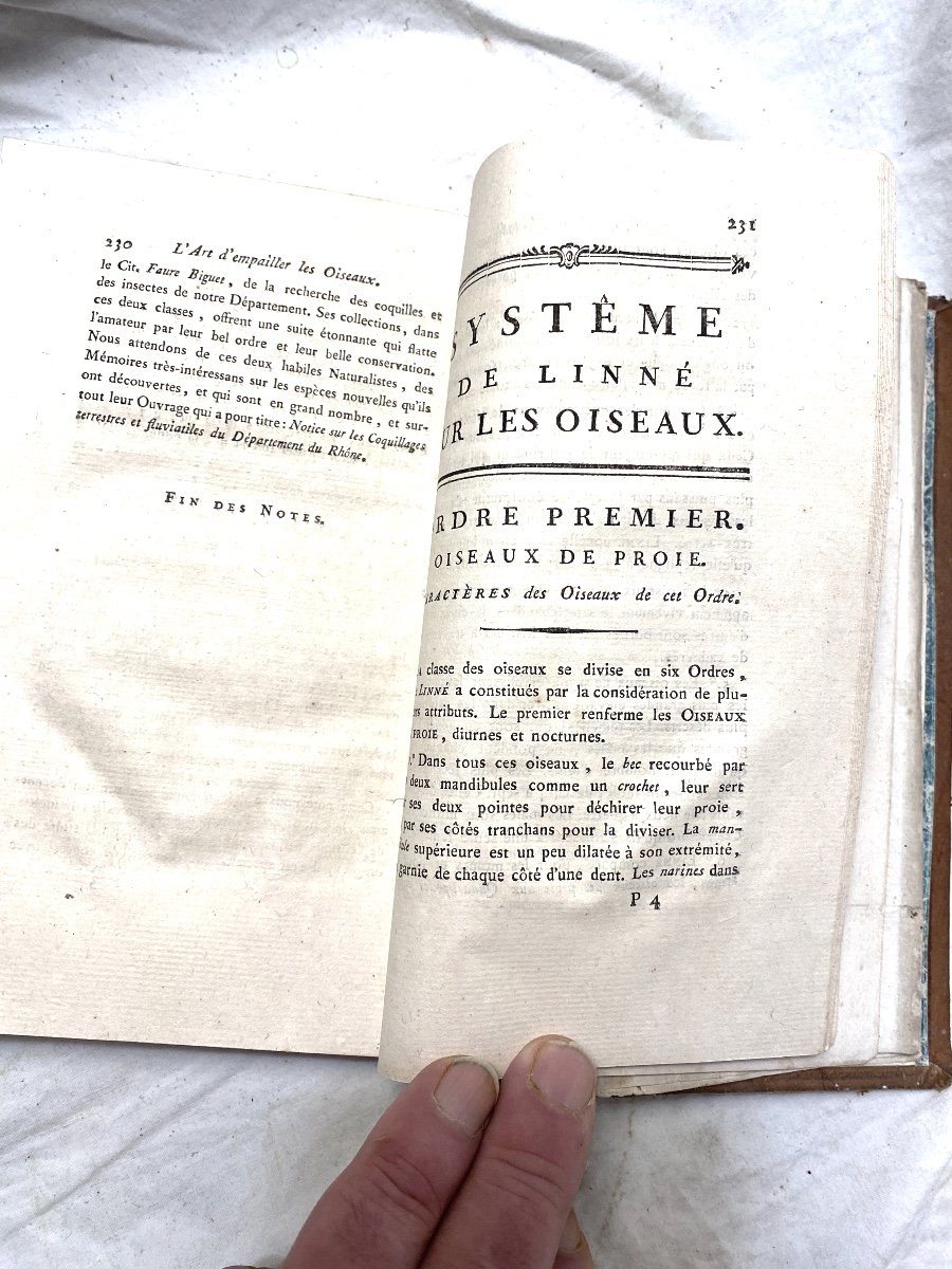 Very Rare And One Of The First Books On Taxidermy "the Art Of Stuffing Birds", M. Hénon.19-photo-8