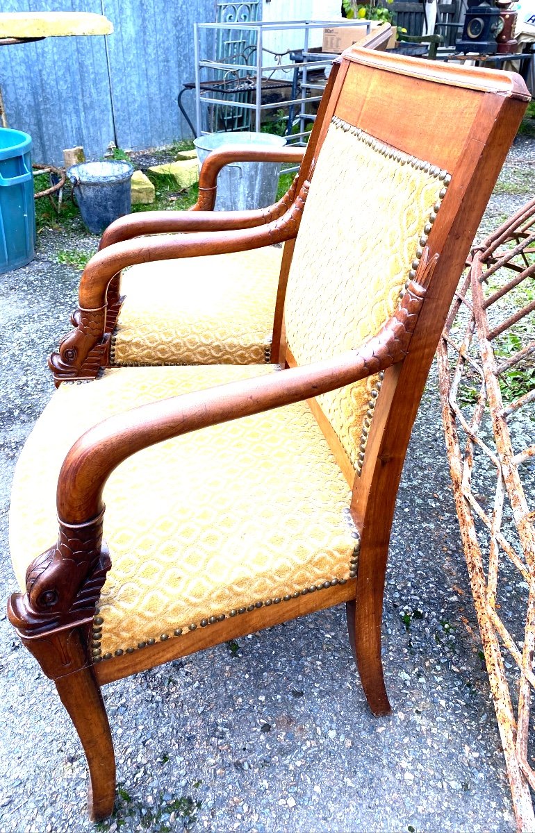 Pair Of Elegant Cherrywood Dolphin Head Armchairs, Early 19th Century, Nicely Sized Sabre Legs-photo-3