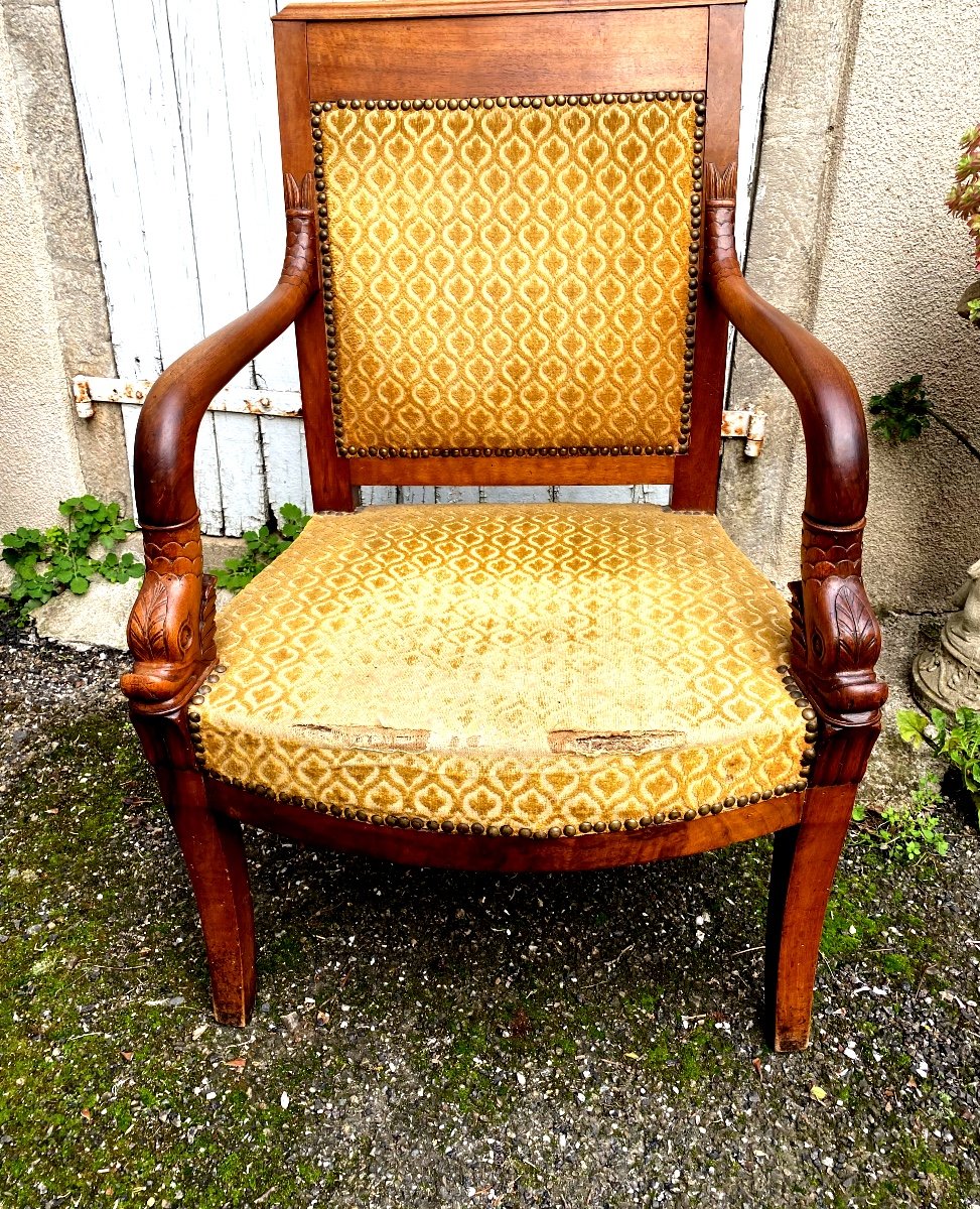 Pair Of Elegant Cherrywood Dolphin Head Armchairs, Early 19th Century, Nicely Sized Sabre Legs-photo-4