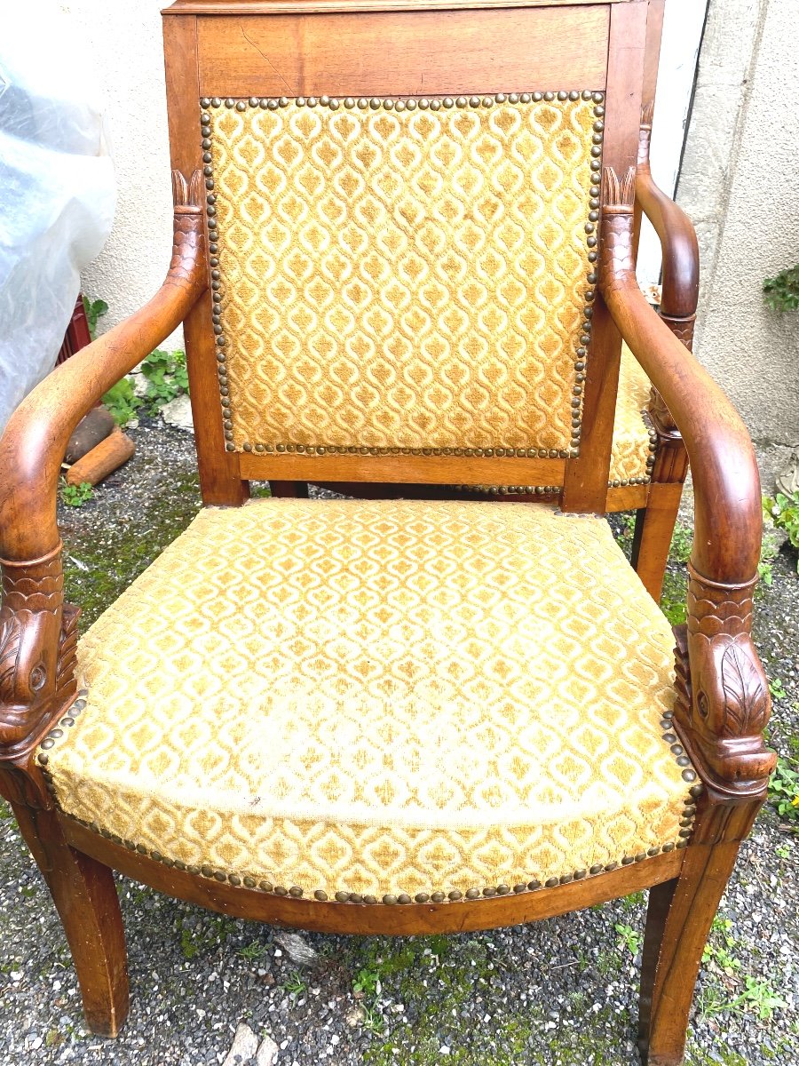 Pair Of Elegant Cherrywood Dolphin Head Armchairs, Early 19th Century, Nicely Sized Sabre Legs-photo-2