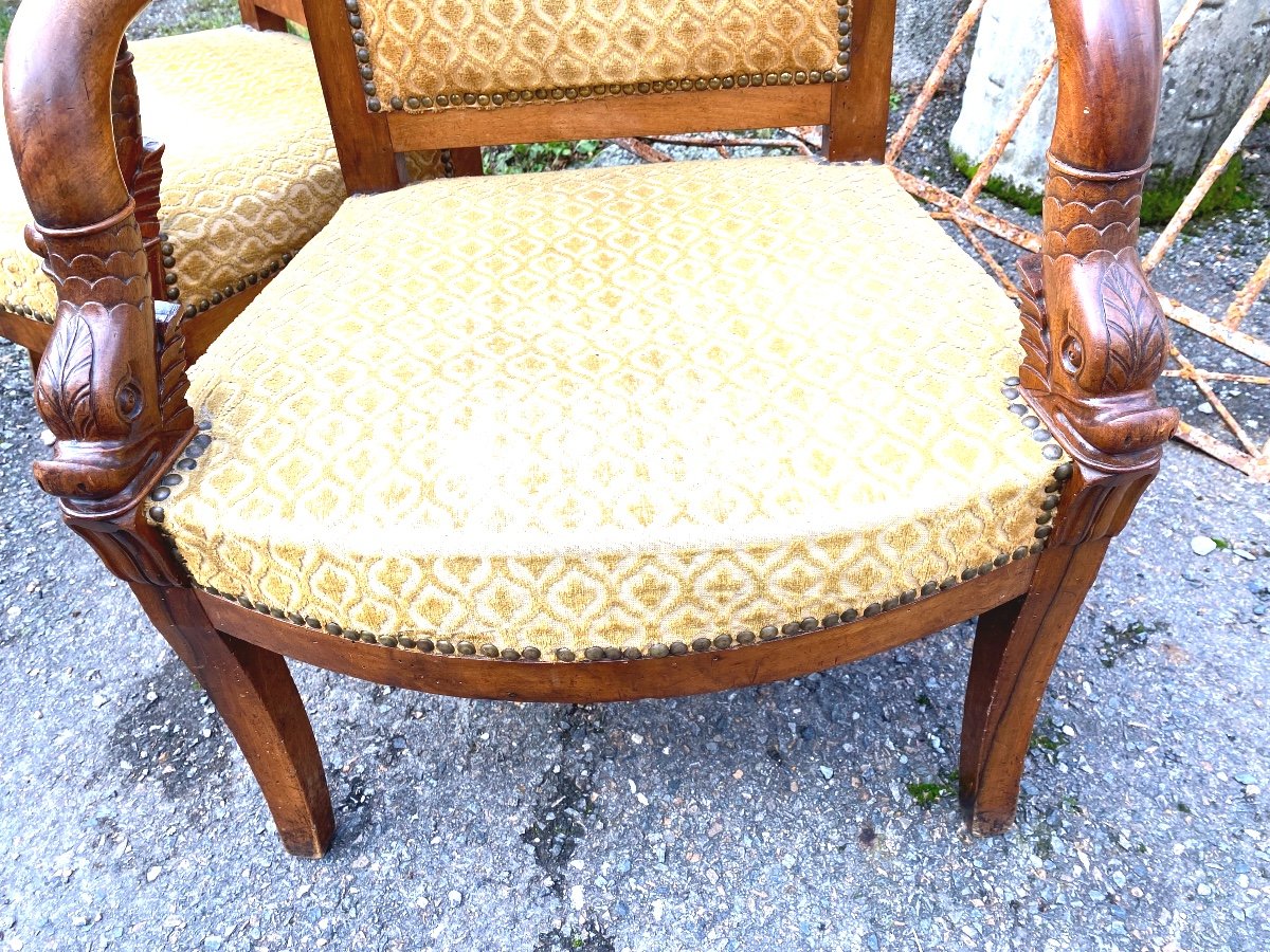 Pair Of Elegant Cherrywood Dolphin Head Armchairs, Early 19th Century, Nicely Sized Sabre Legs-photo-3