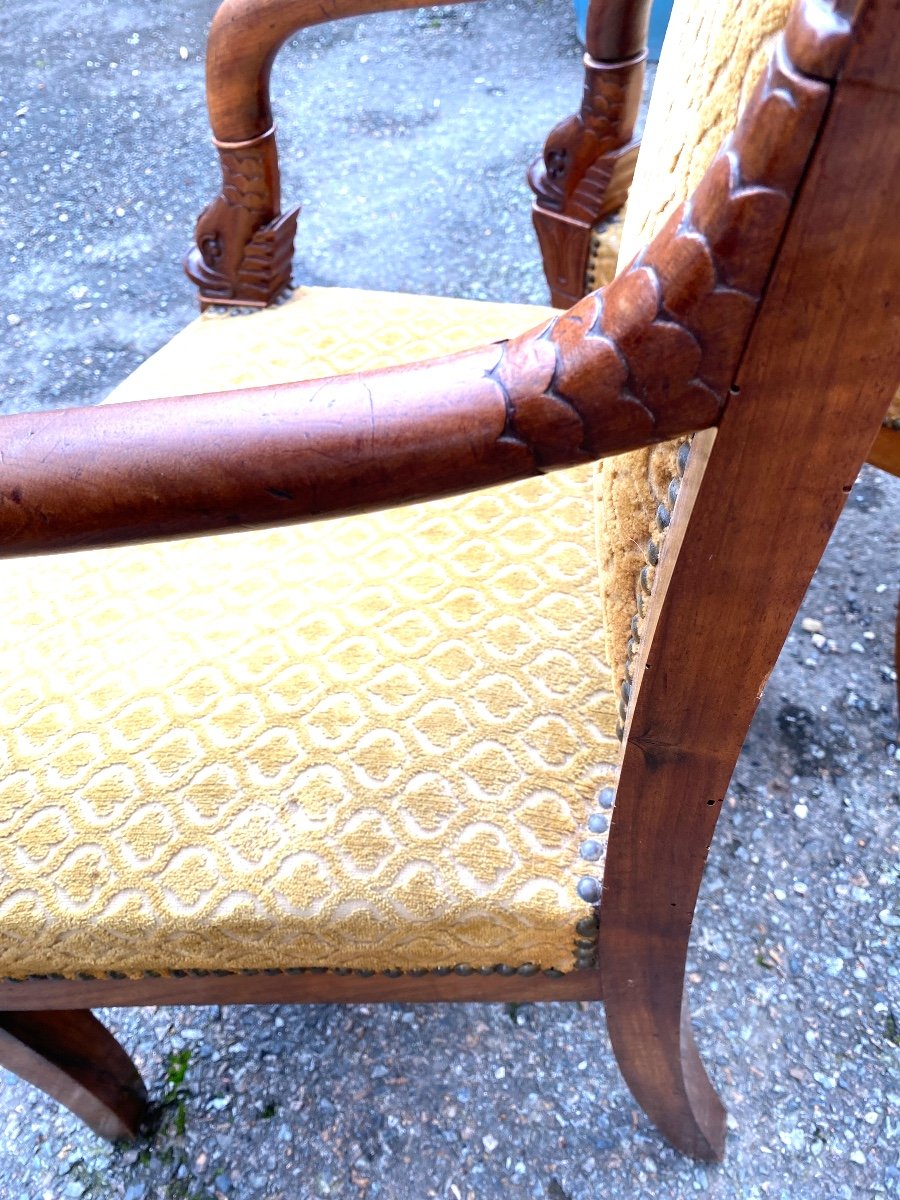 Pair Of Elegant Cherrywood Dolphin Head Armchairs, Early 19th Century, Nicely Sized Sabre Legs-photo-5