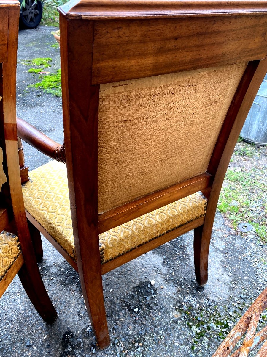 Pair Of Elegant Cherrywood Dolphin Head Armchairs, Early 19th Century, Nicely Sized Sabre Legs-photo-6