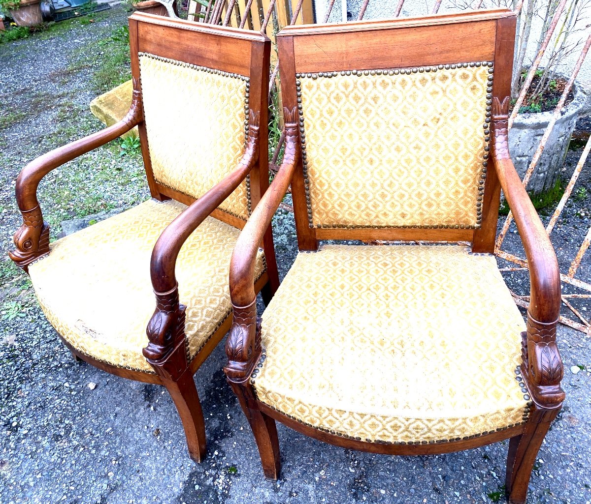 Pair Of Elegant Cherrywood Dolphin Head Armchairs, Early 19th Century, Nicely Sized Sabre Legs