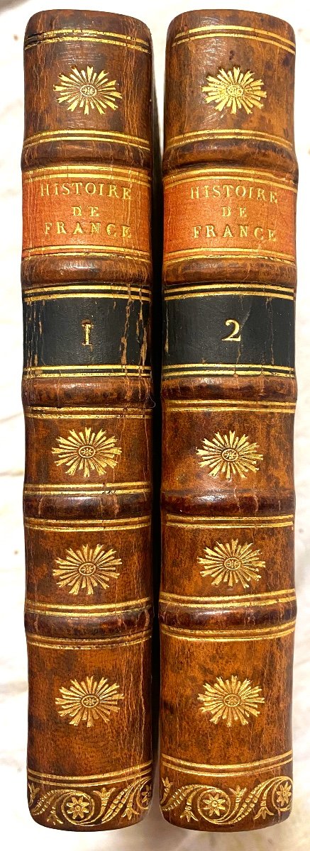 2 Beautiful Vol.in12 From 1789. In Paris: "history Of France Before Clovis", M. Laureau, Illustrated