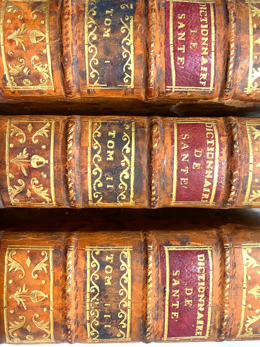 3 Beaux Forts Vol. In 12: "portable Health Dictionary", By M... & B... In Paris 1783, 5th-photo-2