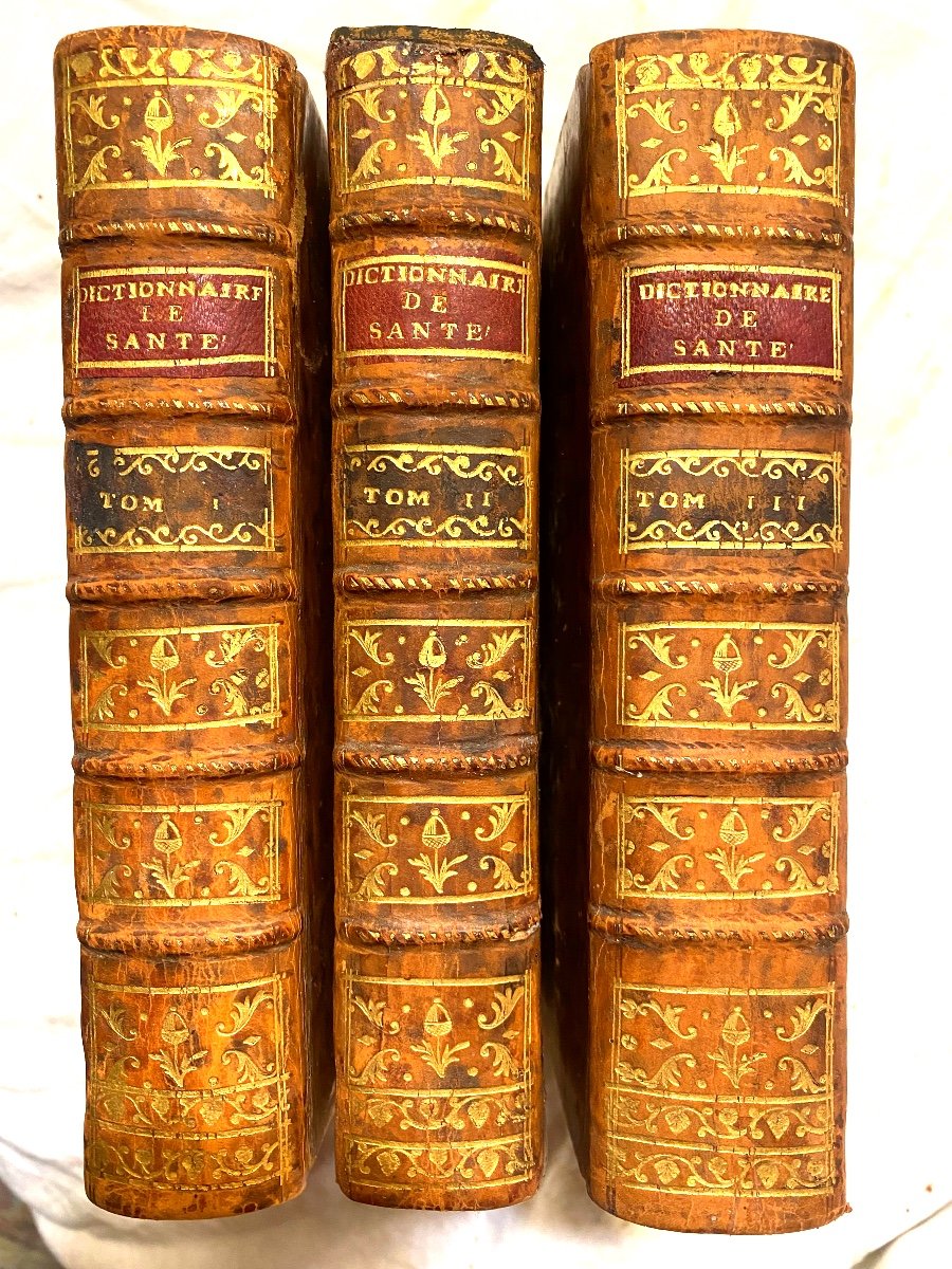 3 Beaux Forts Vol. In 12: "portable Health Dictionary", By M... & B... In Paris 1783, 5th