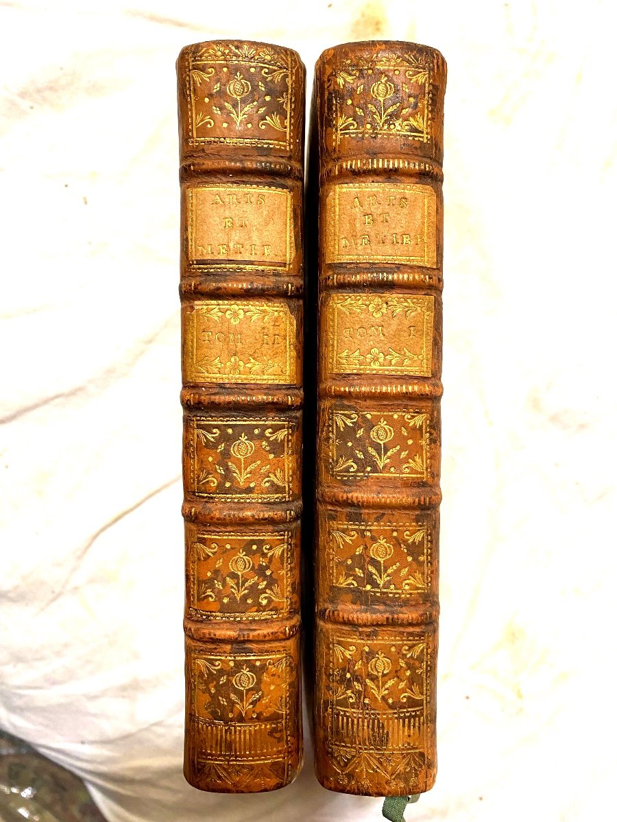  Fine Copy: "secrets Concerning Arts And Crafts", 2 Volumes. In 12, In Brussels 1760