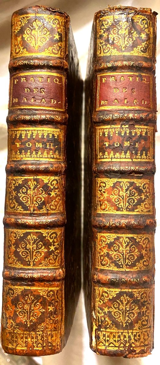 2 Vol. In 12 De 1707 :"Pratique Des Maladies Aigues Sur La Fermentation Des Liqueurs - Tauvry