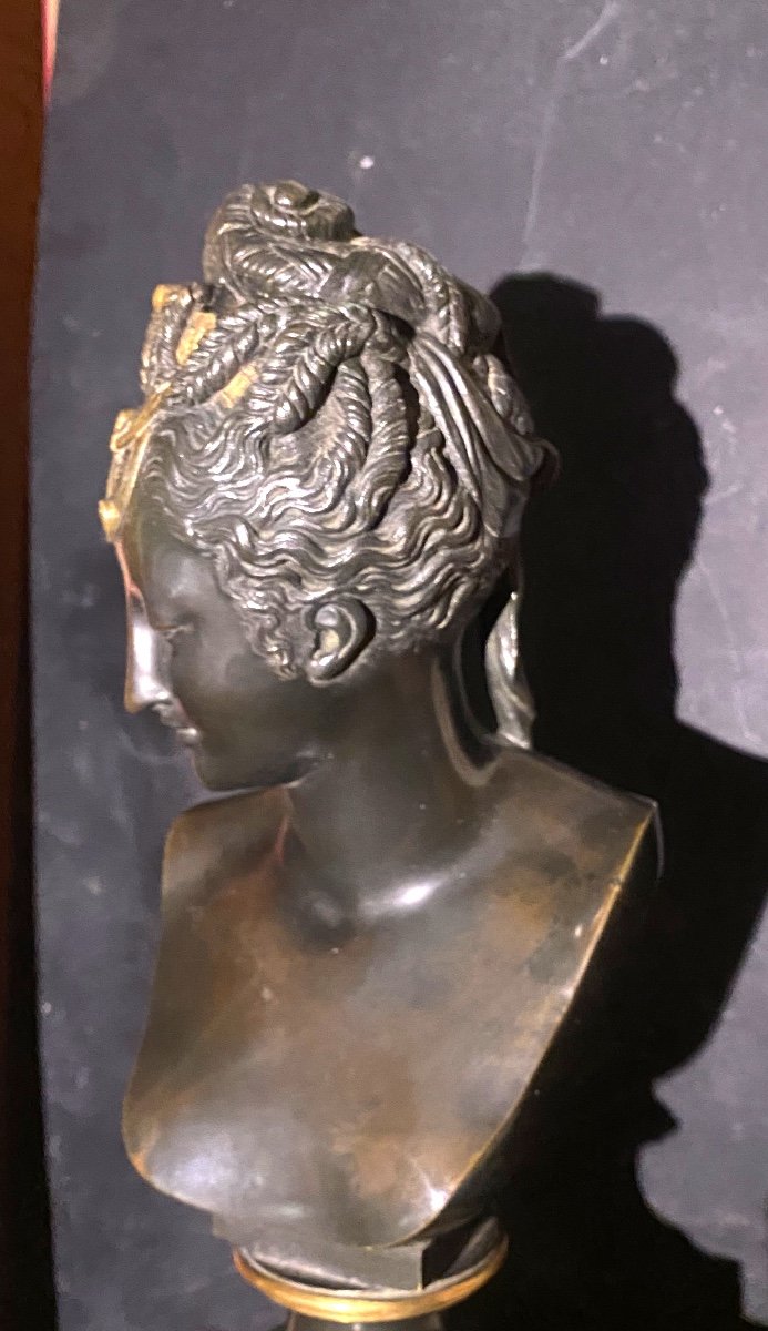 Houdonbronze Bust With Beautiful Patina: A 19th Century Head Of Diana, Reduction Signed Sauvage-photo-5