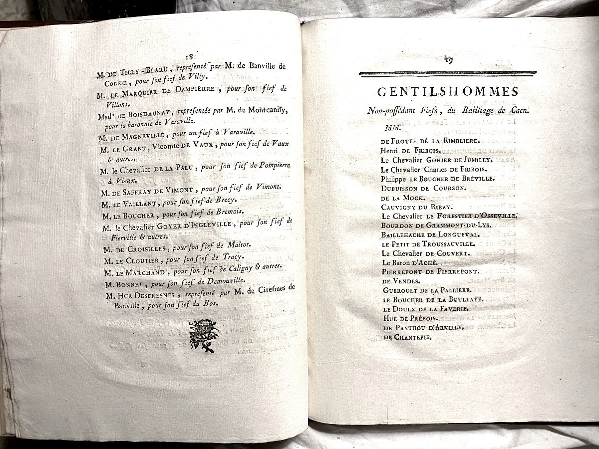 Procès-verbal De l'Assemblée De l'Ordre De La Noblesse Du Grd Bailliage De Caen ,pré Révolution-photo-8