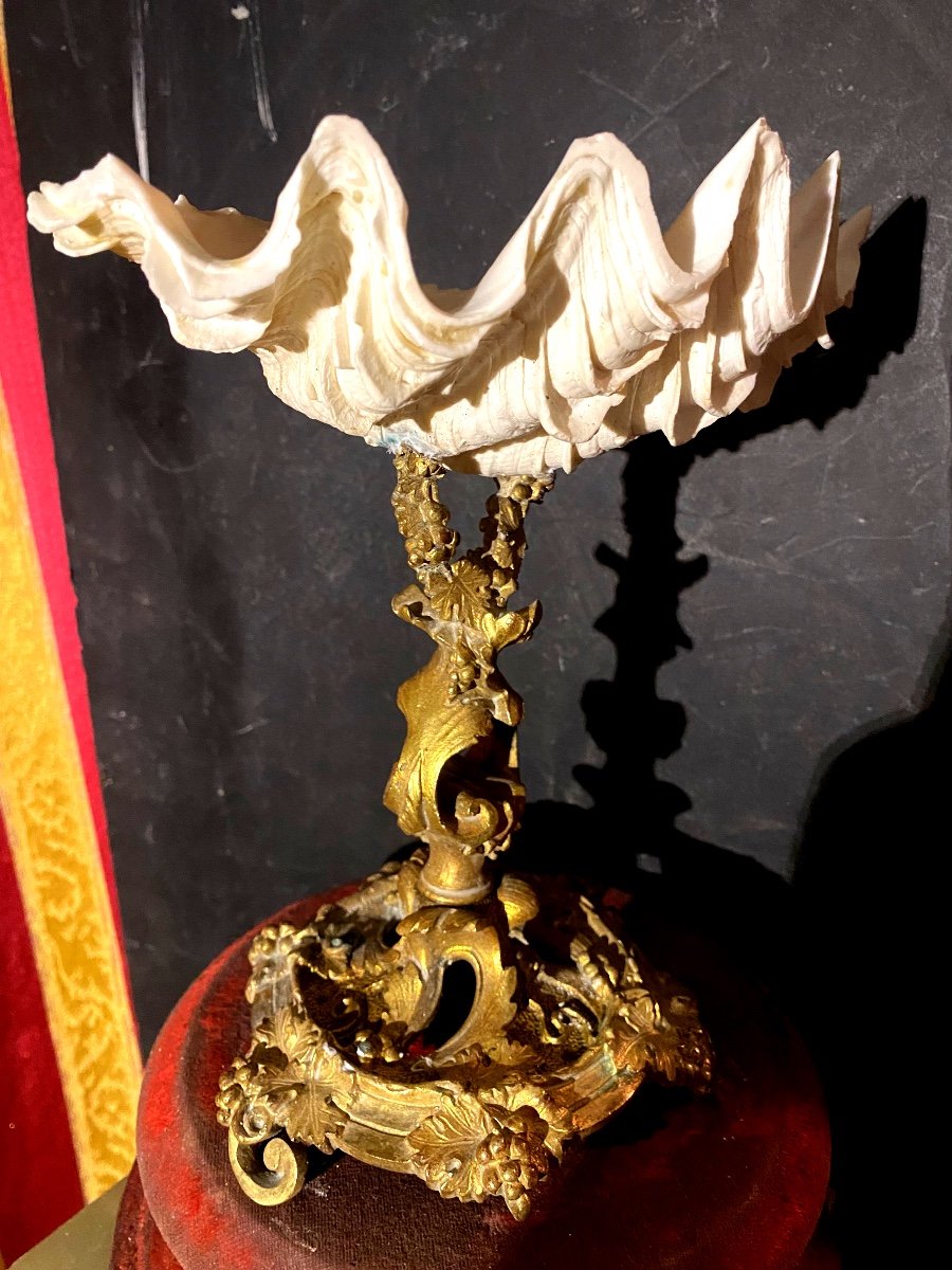 Rare And Beautiful Empty Shell Pocket Holy Water Font Mounted On An Openwork Baroque Base In Gilt Bronze 19th Century-photo-4