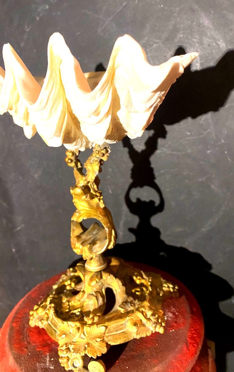 Rare And Beautiful Empty Shell Pocket Holy Water Font Mounted On An Openwork Baroque Base In Gilt Bronze 19th Century-photo-6