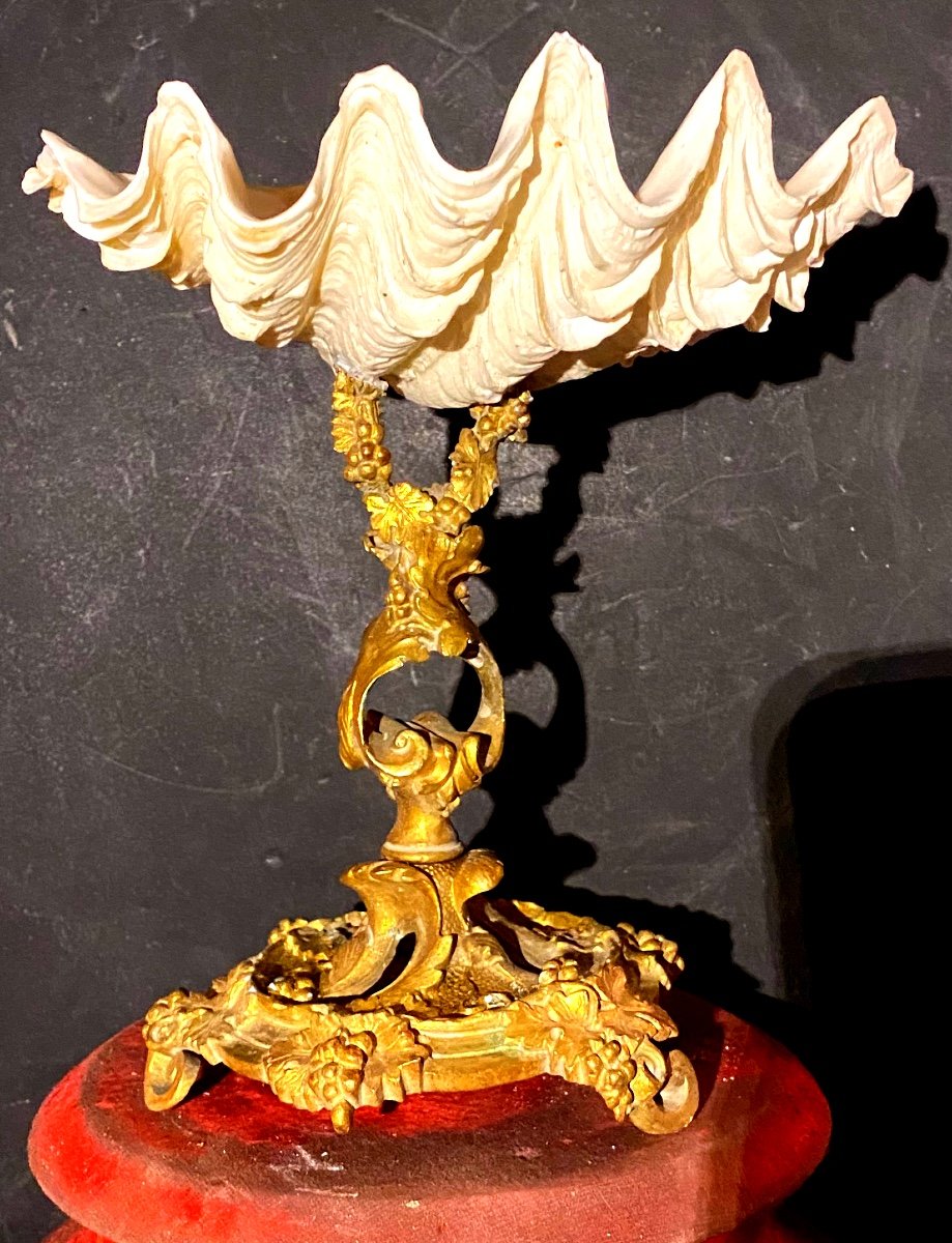 Rare And Beautiful Empty Shell Pocket Holy Water Font Mounted On An Openwork Baroque Base In Gilt Bronze 19th Century