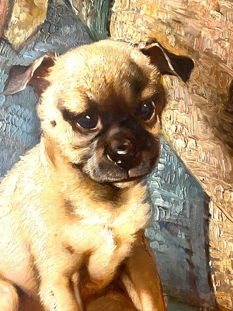 Living Portrait Of Baby Pug, Oil On Wood From 1880 By Artist "mina Hoegel" Well Framed-photo-2