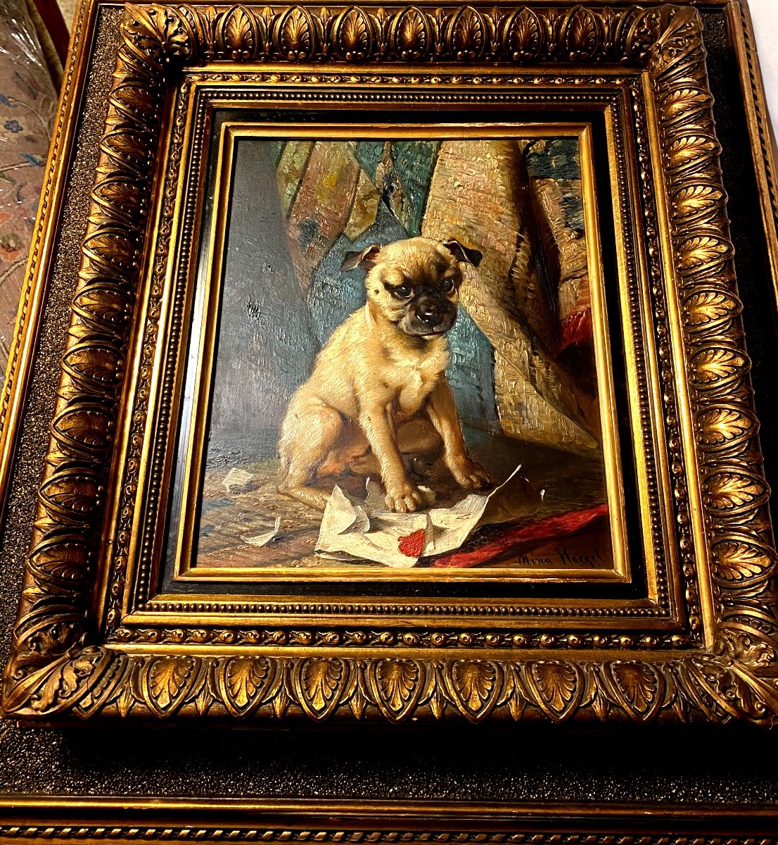 Living Portrait Of Baby Pug, Oil On Wood From 1880 By Artist "mina Hoegel" Well Framed-photo-3