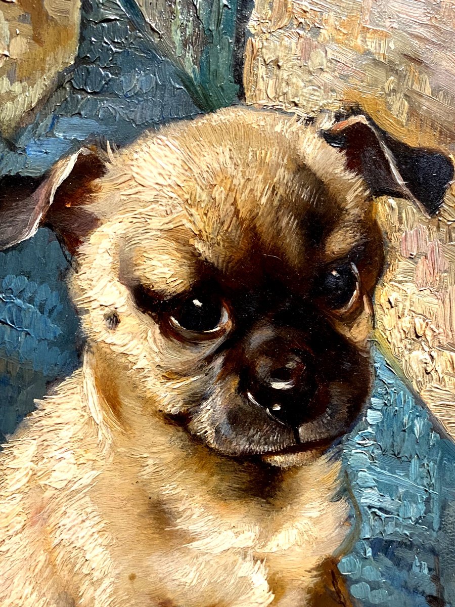 Living Portrait Of Baby Pug, Oil On Wood From 1880 By Artist "mina Hoegel" Well Framed-photo-6