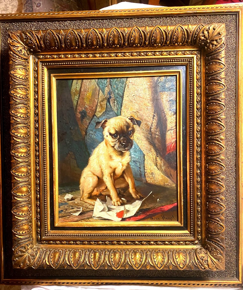 Living Portrait Of Baby Pug, Oil On Wood From 1880 By Artist "mina Hoegel" Well Framed