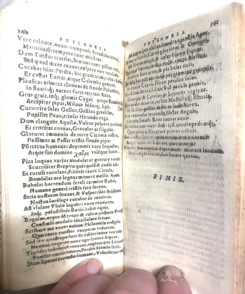 Rare Impression Of Bergerac From 1613, A Vol. Velin "pub. Ovidii Nasonis" Lib. Amatorii Hoc Est-photo-7