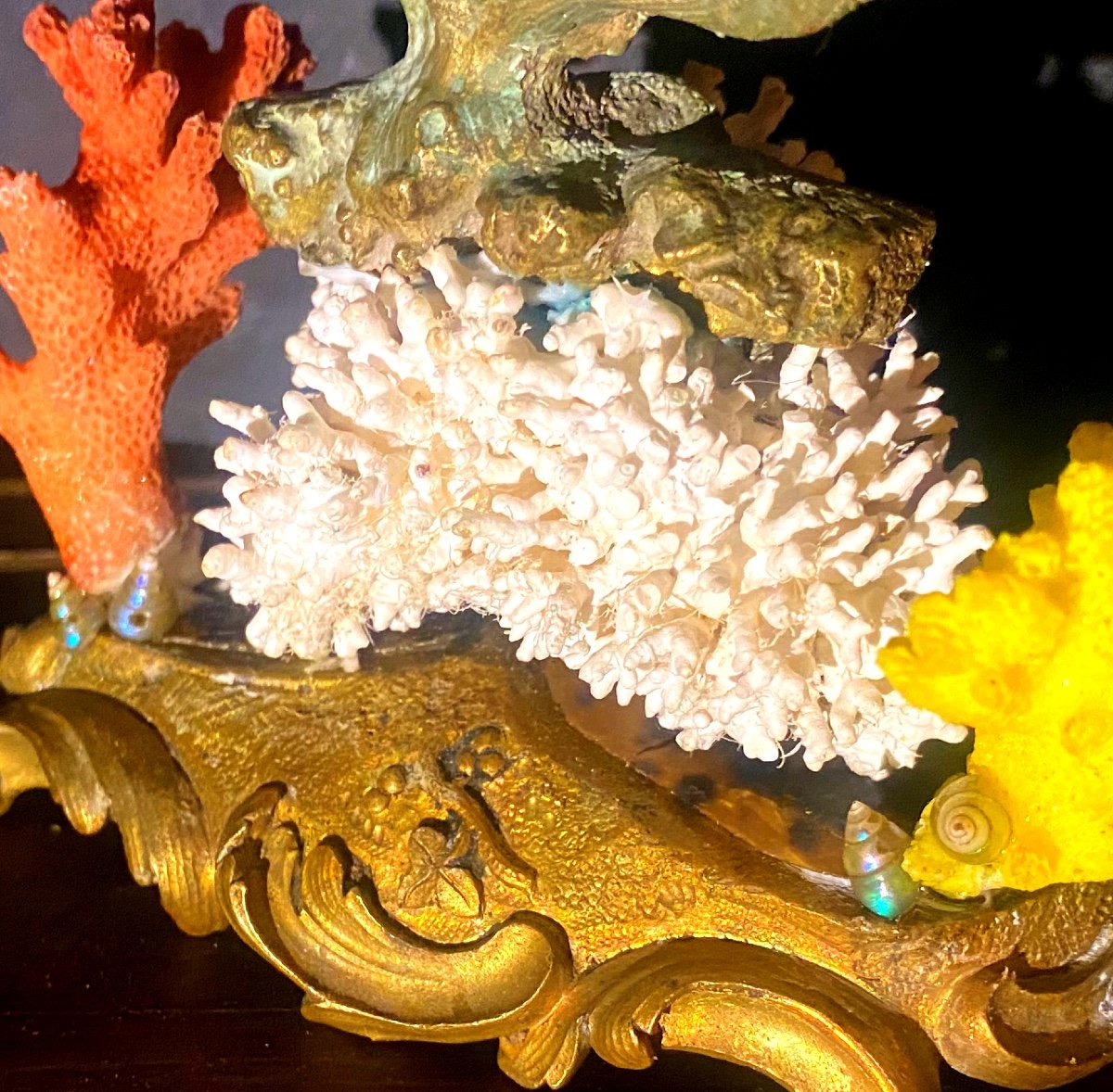 Beautiful Bronze Holy Water Font And Dolphin Ring Box; Louis XV Baroque Base With Corals And Shells 19th Century-photo-6