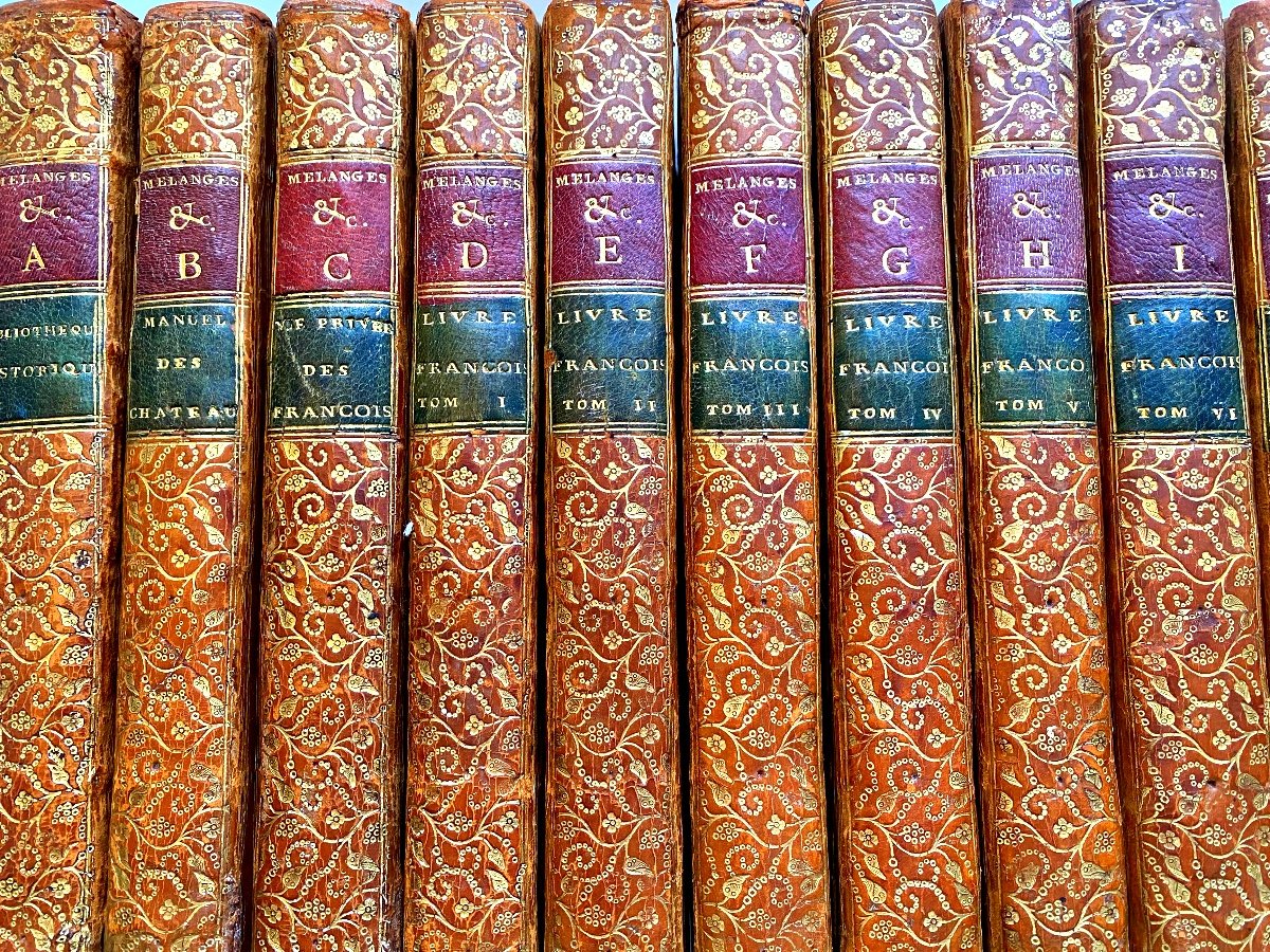 Historical Library For The Use Of Ladies, 24 Beautiful Volumes In 8 Château Des Ormes d'Argenson-photo-2