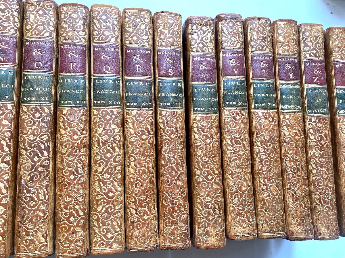 Bibliothèque Historique A l'Usage Des Dames, 24 Beaux Volumes In 8 Château des Ormes d'Argenson-photo-4