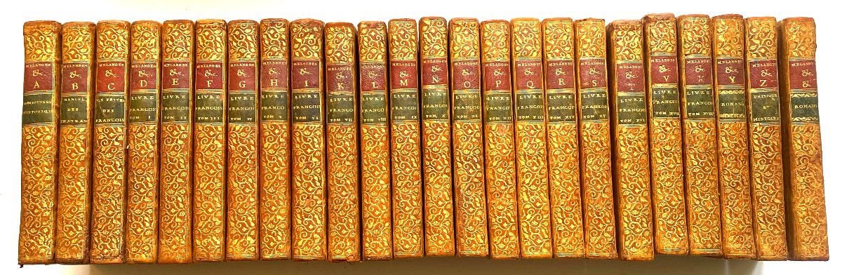 Bibliothèque Historique A l'Usage Des Dames, 24 Beaux Volumes In 8 Château des Ormes d'Argenson