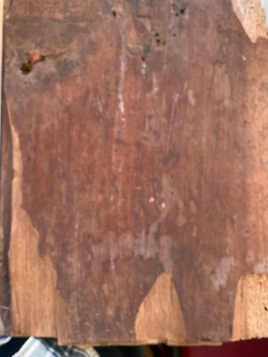 Renaissance Furniture Panel In Patinated Walnut With: Crowned "double-headed Eagle" Framed With Flowers-photo-4