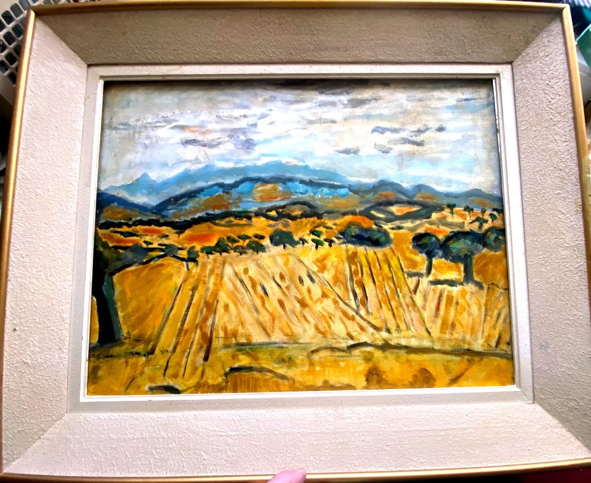 Large Provencal Landscape Les Dentelles, Oil On Canvas From The Mid 20th Century By Franklin Roudybush-photo-2