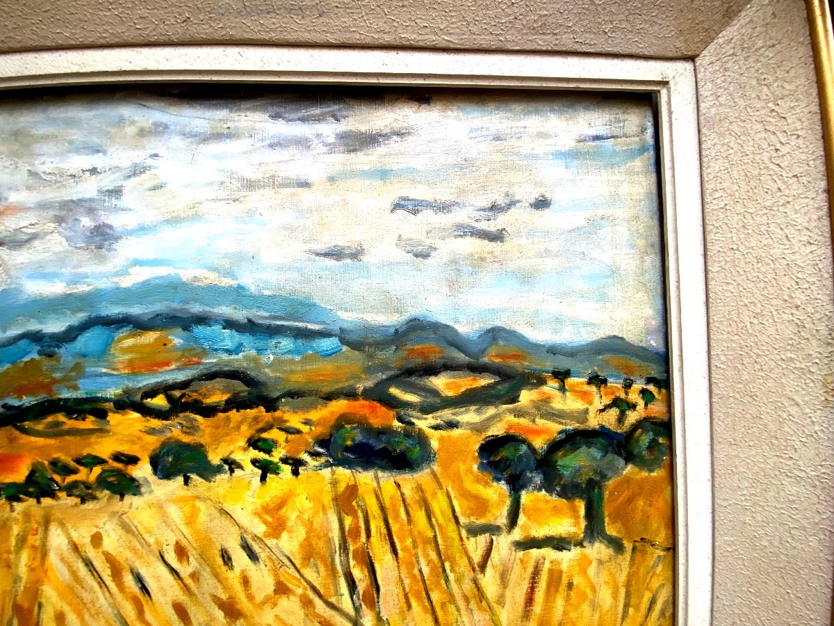 Large Provencal Landscape Les Dentelles, Oil On Canvas From The Mid 20th Century By Franklin Roudybush-photo-3